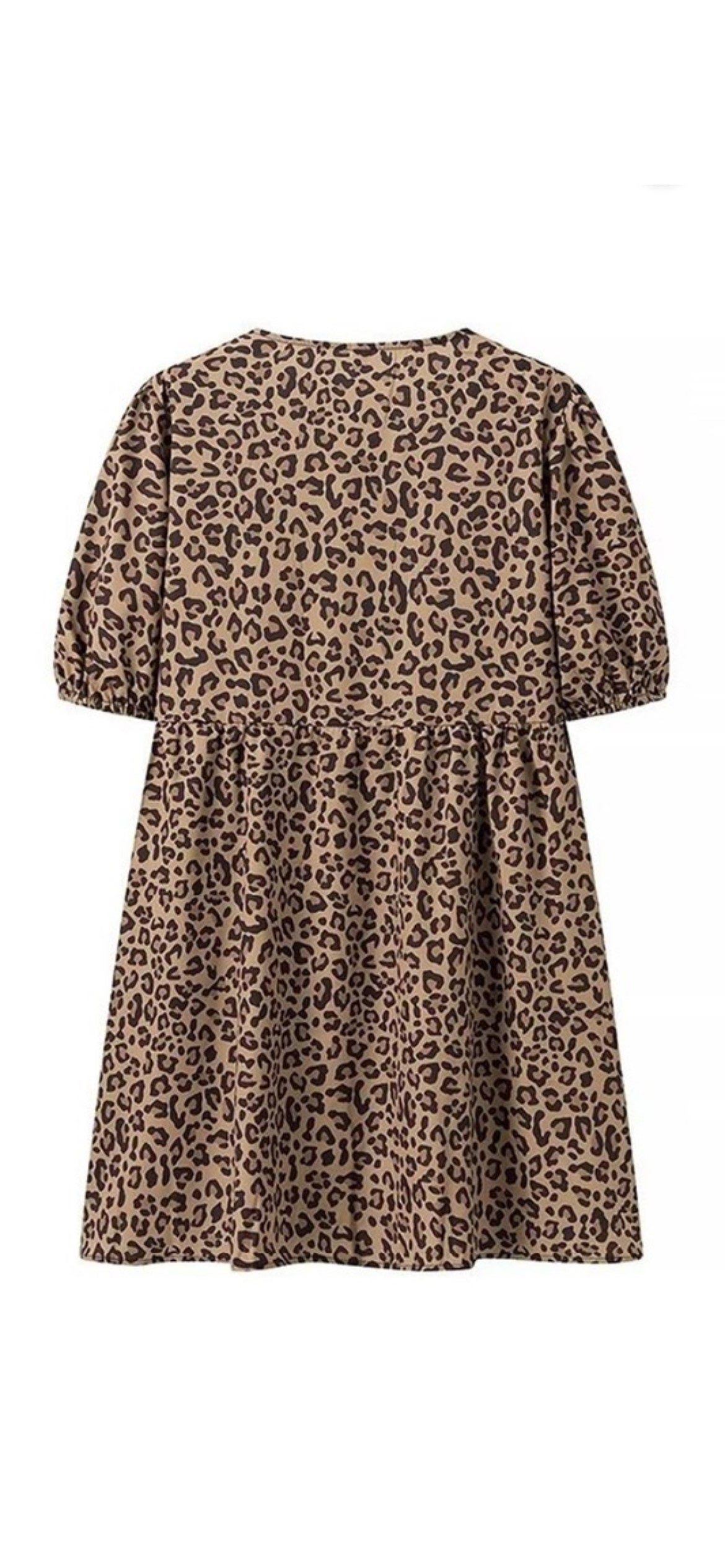 Betty Leopard Print Dress