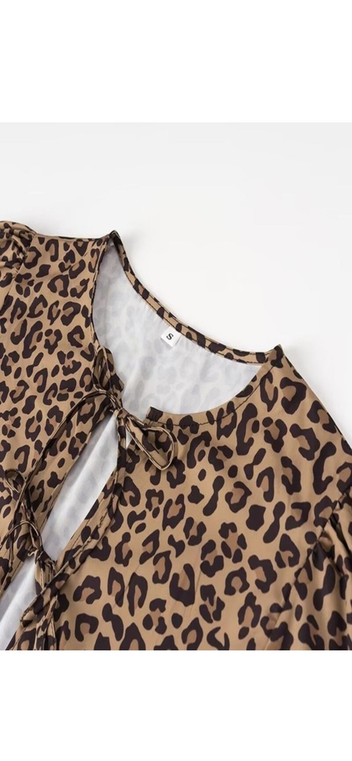 Betty Leopard Print Dress