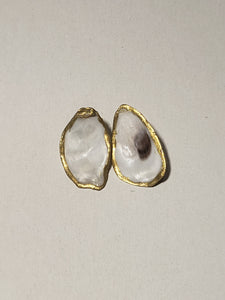 Folly Oyster Post Earrings - The Look By Lucy
